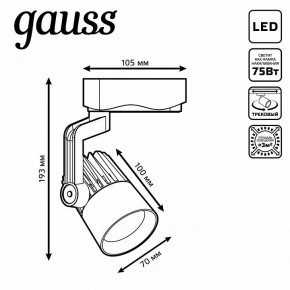 Светильник на штанге Gauss Track Light TR061 в Югорске - yugorsk.ok-mebel.com | фото 6