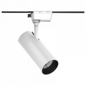 Светильник на штанге Gauss Track Light TR063 в Югорске - yugorsk.ok-mebel.com | фото