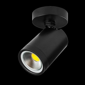 Светильник на штанге Lightstar Rullo 213407 в Югорске - yugorsk.ok-mebel.com | фото 2