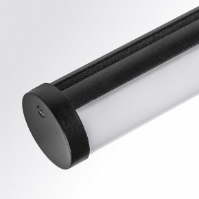 Светильник на штанге Lightstar Teta 205607 в Югорске - yugorsk.ok-mebel.com | фото 3