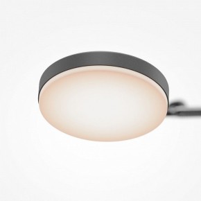 Светильник на штанге Maytoni Fad MOD070CL-L15B3K1 в Югорске - yugorsk.ok-mebel.com | фото 7
