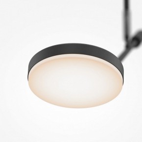 Светильник на штанге Maytoni Fad MOD070CL-L8B3K в Югорске - yugorsk.ok-mebel.com | фото 4