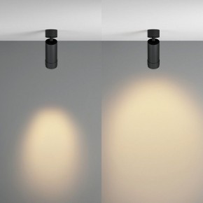Светильник на штанге Maytoni Focus Zoom C055CL-L12W2.7K-Z-B в Югорске - yugorsk.ok-mebel.com | фото 3