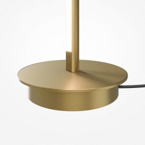 Торшер Maytoni Thin MOD395FL-L28BS3K в Югорске - yugorsk.ok-mebel.com | фото 7
