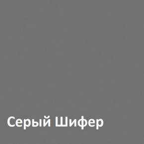 Юнона Шкаф торцевой 13.221 в Югорске - yugorsk.ok-mebel.com | фото 2